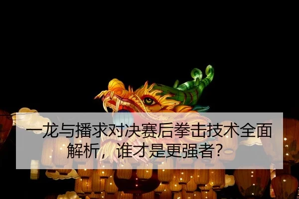 一龙与播求对决赛后拳击技术全面解析，谁才是更强者？
