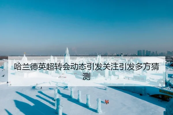 哈兰德英超转会动态引发关注引发多方猜测